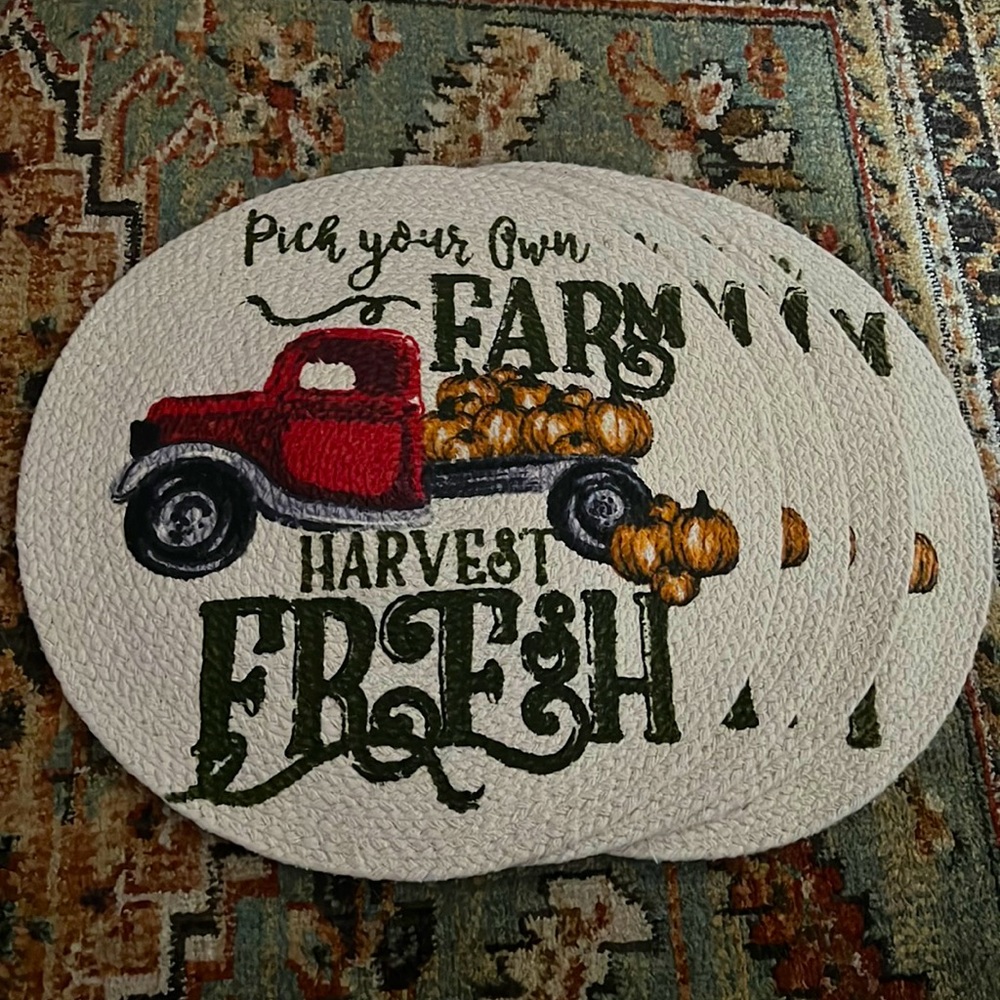 NWT Set of 4 Placemats